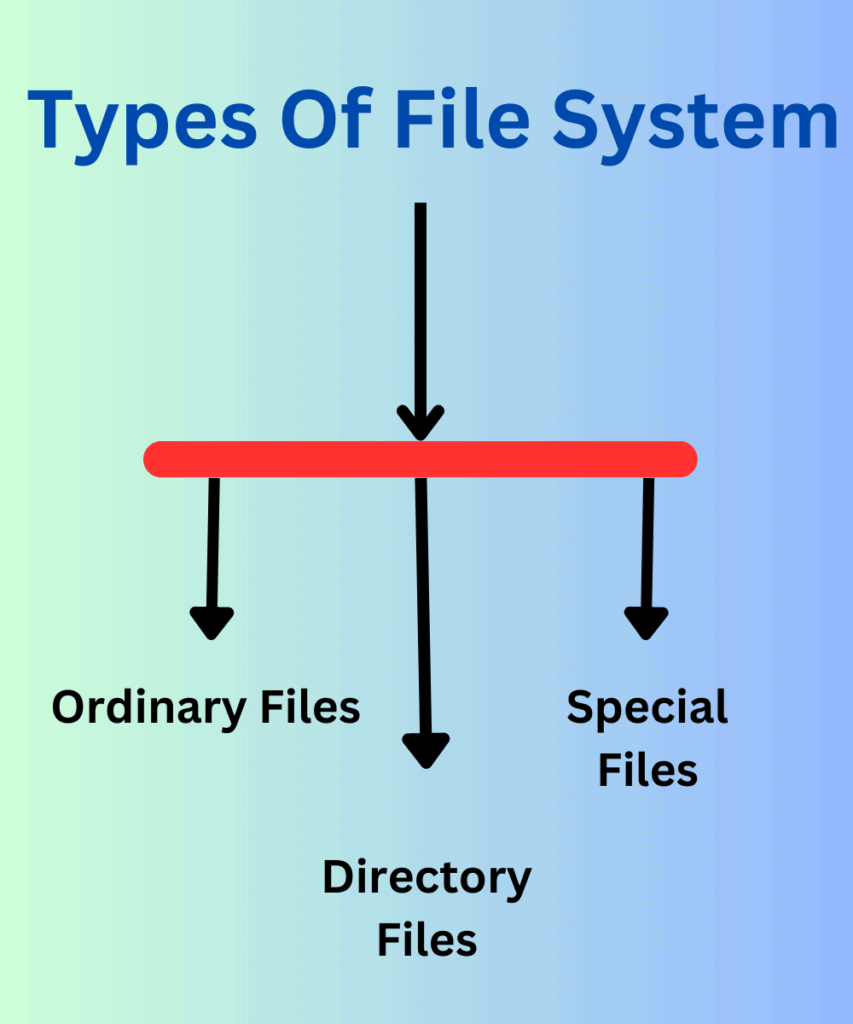 What is DBMS? Difference between DBMS and File Systems