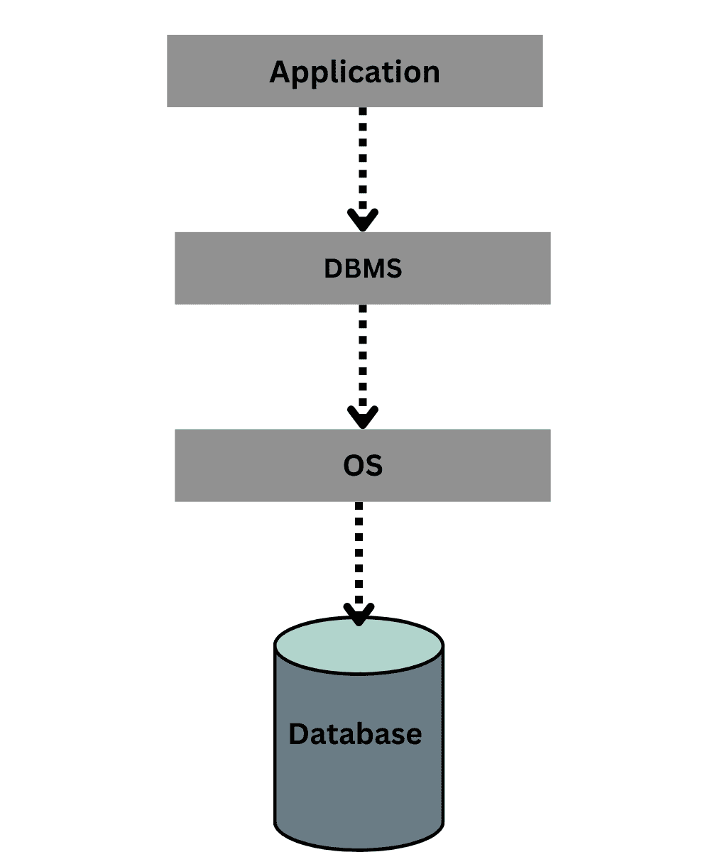 What is DBMS? Difference between DBMS and File Systems