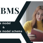 What is a Data model and what is a Data model Schema?